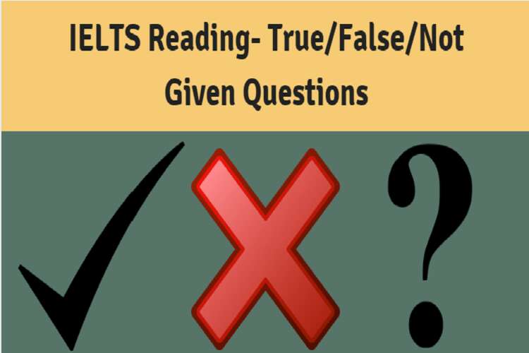 true false test