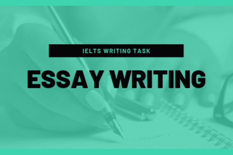 IELTS essay evaluation