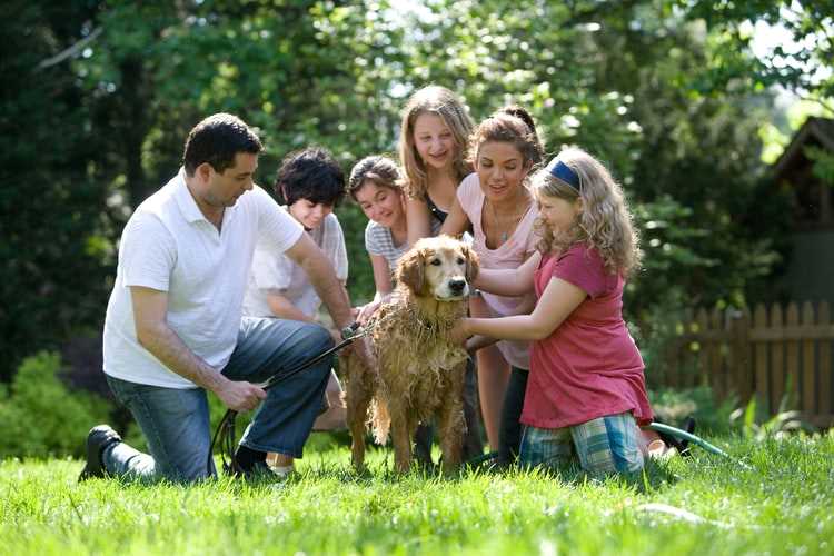 Words To Describe Happy Family