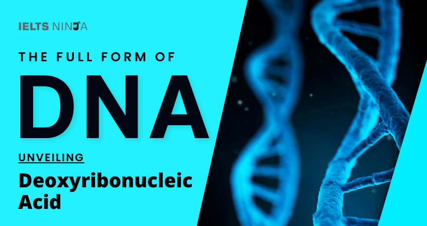 The Full Form of DNA