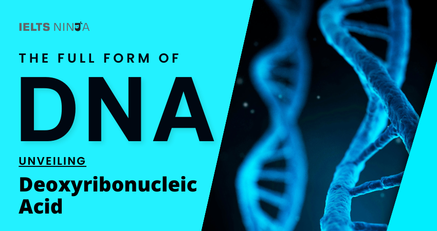 the-full-form-of-dna-unveiling-deoxyribonucleic-acid